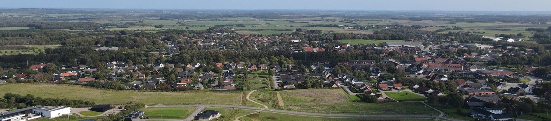 Luftfoto af parcelhus udstykningen Hesselholt Skovhuse i Arden. 