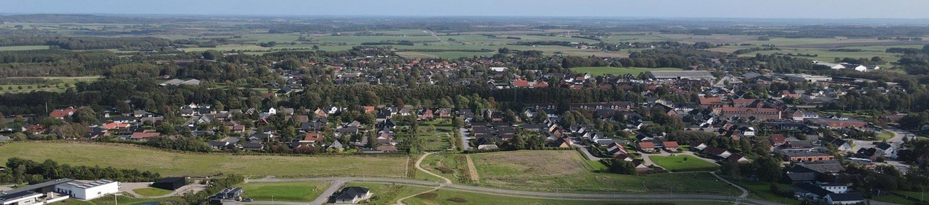 Luftfoto af parcelhus udstykningen Hesselholt Skovhuse i Arden. 